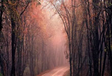 BWIN:“尔滨”搭台 亚洲冰雪朋友圈上新了中国青年报客户端.