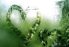 陕西联合技术总监埃德温专访:去竞争,去学习,去变得更好.