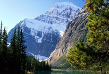 BWIN:全国线上社区运动会圆满落幕2025-03-10.