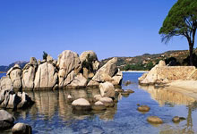 BWIN:Shams:杜兰特将伤停至少一周确认缺席三连客,太阳无他2胜11负.